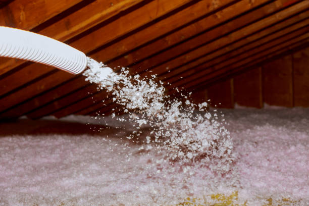 Types of Insulation We Offer in Stuart, FL